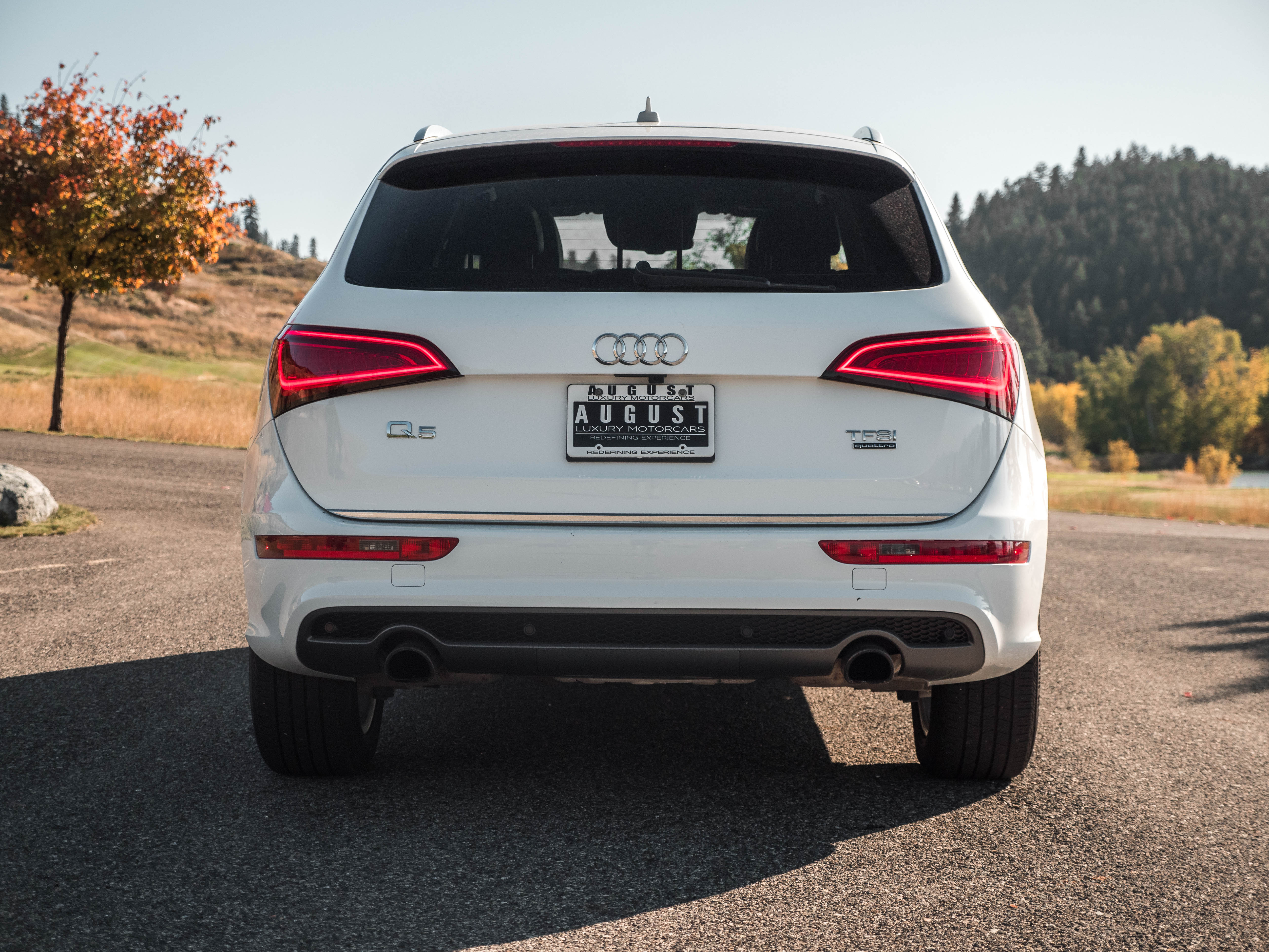 Pre-Owned 2016 Audi Q5 2.0T Technik S-Line Sport Utility in Kelowna #AU ...