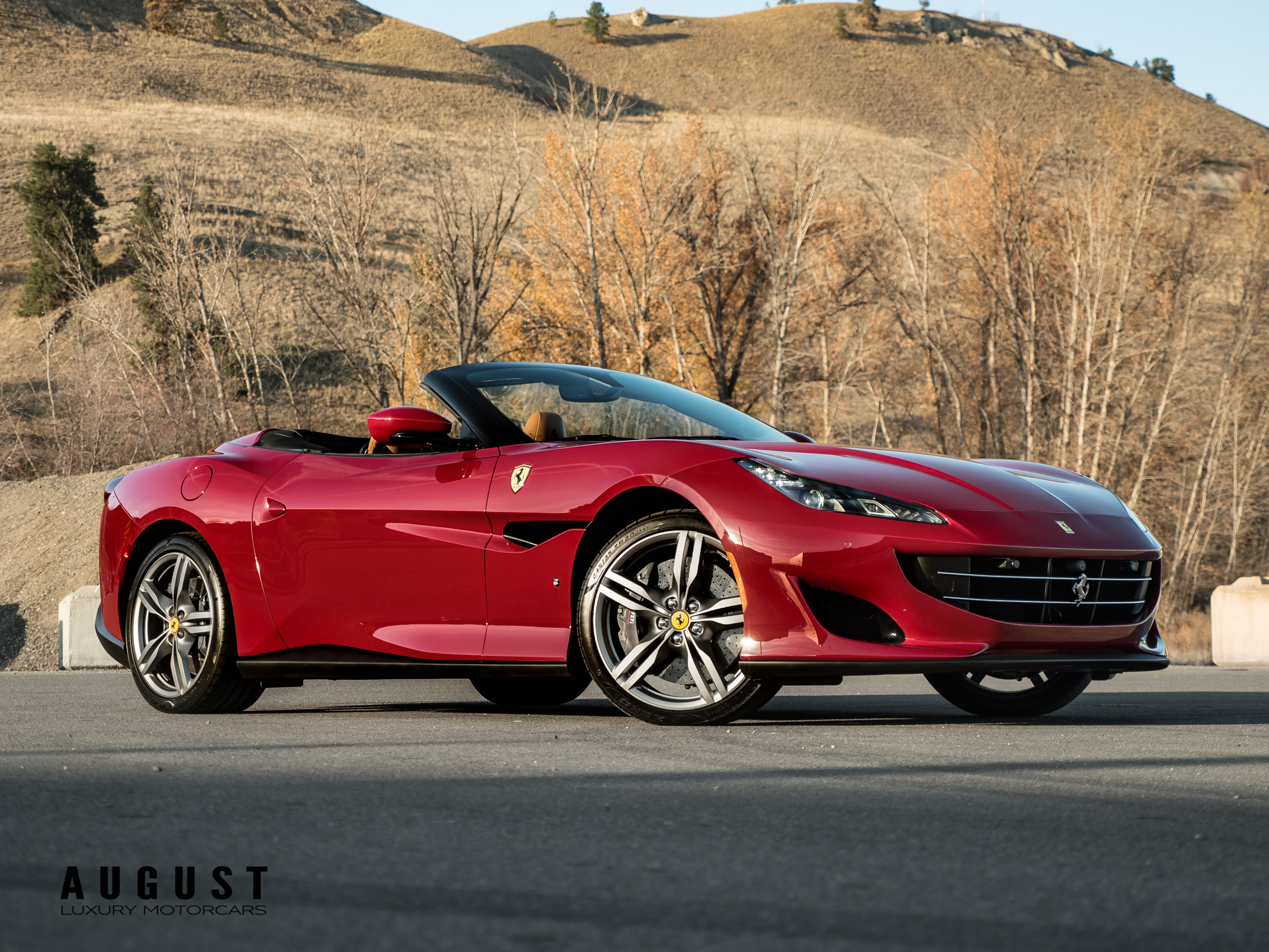 Ferrari Portofino 2019